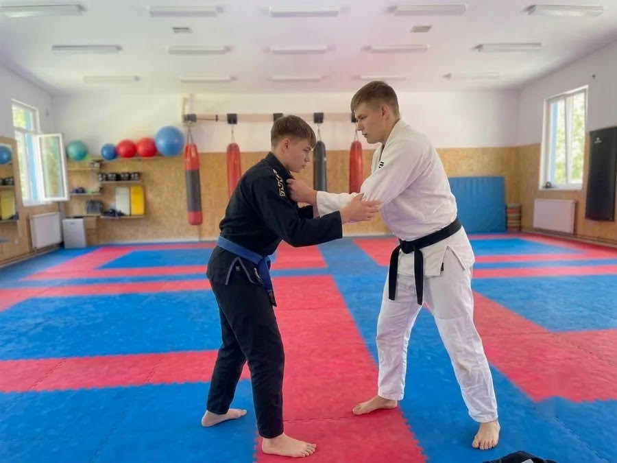 Jiu-Jitsu (SDS)